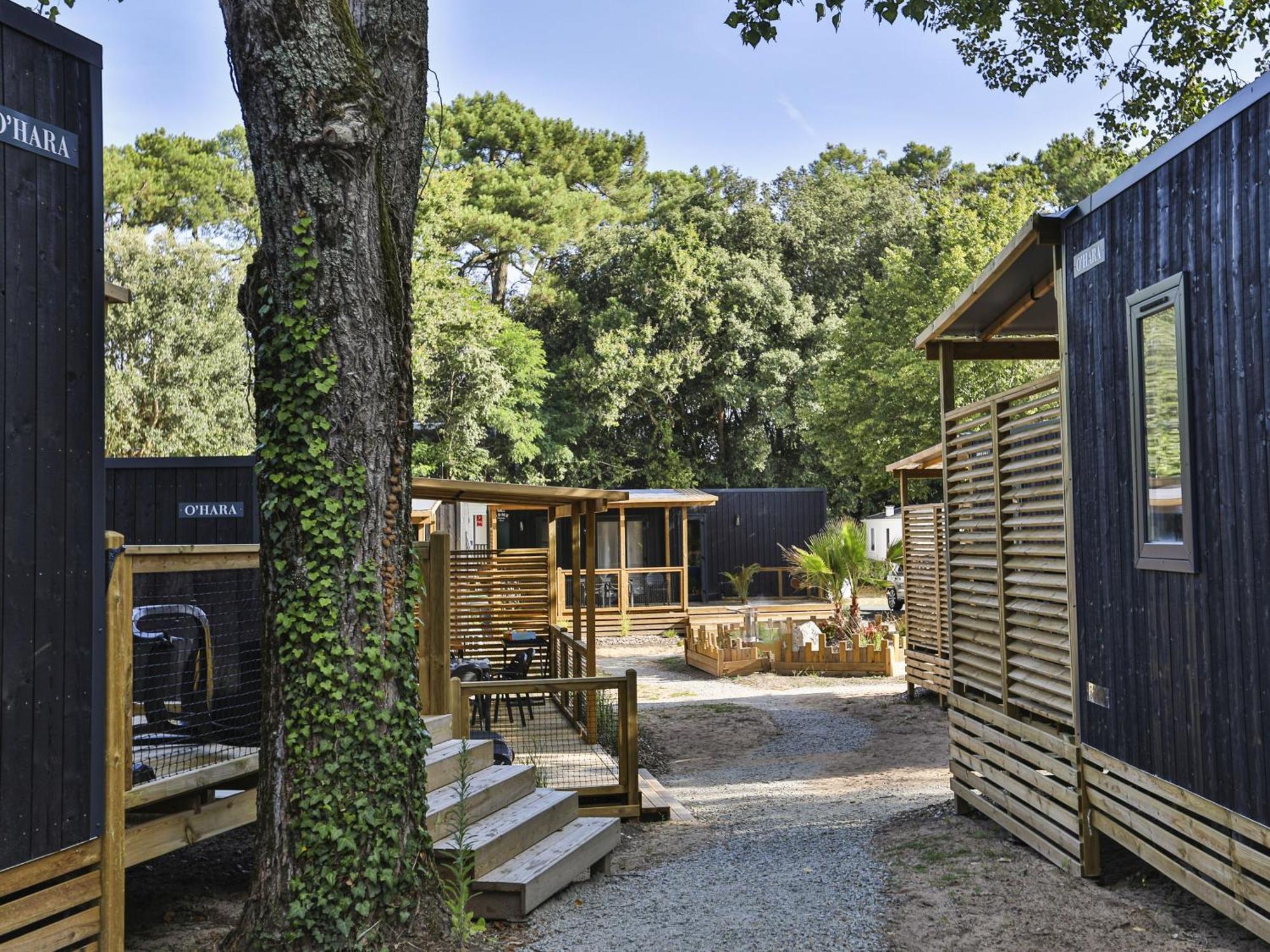 Domaine Residentiel De Plein Air Les Dunes Longeville-sur-Mer Luaran gambar